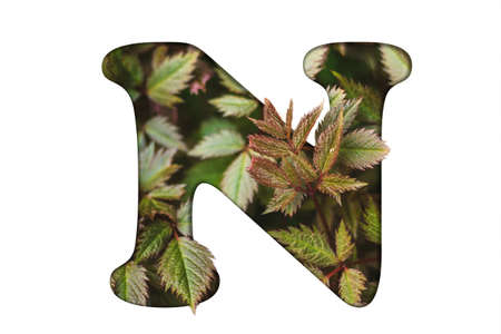 Colorful spring three-dimensional floral alphabetの写真素材