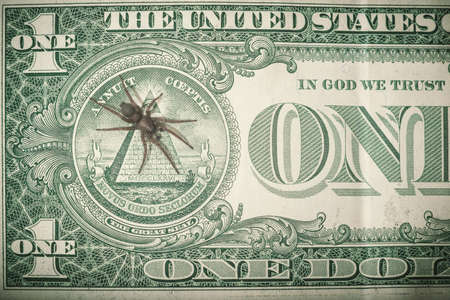 The spider climbed on a one- dollar bill .の写真素材