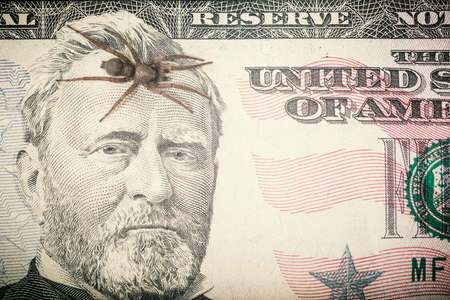 A spider crawls over Franklin's head, fifty- dollar bills.の写真素材