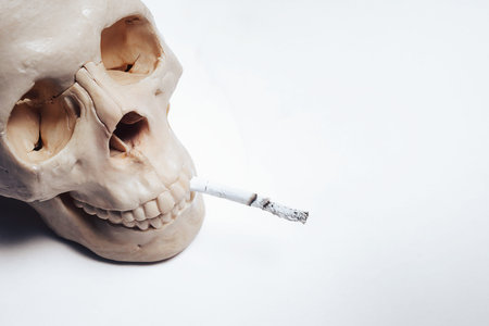 A human skull on a white background with a cigarette in its mouth. The concept of the dangers of...