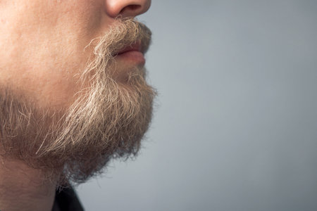 Close-up portrait of a young man with a blond beard. Scandinavian wild beard.