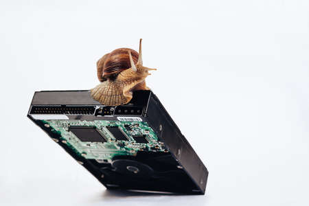 The snail is sitting on the hard drive.の写真素材