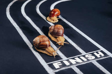 Three snails crawl along the treadmill to the finish line.の写真素材