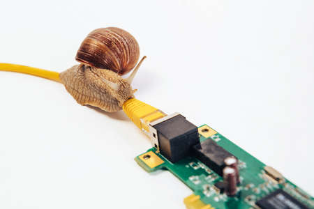 A snail crawls along an Internet wire connected to a network card.の写真素材