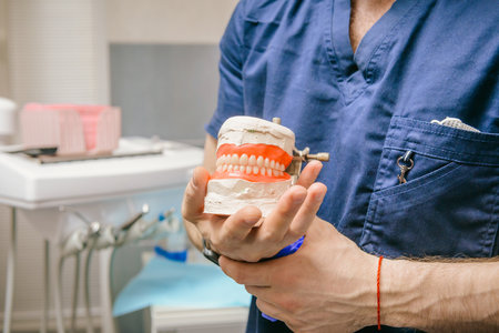 Close-up in the hands of a mock jaw. The establishment of a prosthesis of the jaw.の写真素材