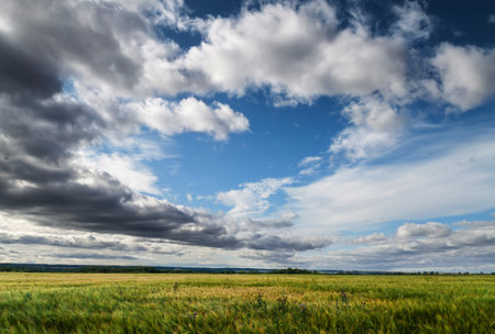 beautiful clouds in the sky and fieldの写真素材