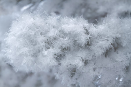 white fluffy snowflakes closeup