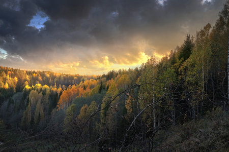view from the hill to the sunset in the autumn forestの写真素材