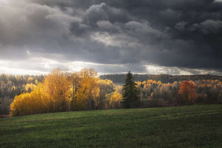 autumn forest and sloping field illuminated by the sun and the background of the dramatic skyの写真素材