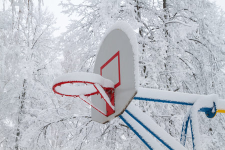 basketball hoop is covered with snow