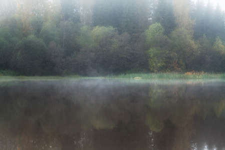 reflection of trees in the pond on a foggy morningの写真素材