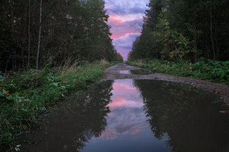 beautiful sunset is reflected in the puddles of the rural roadの写真素材