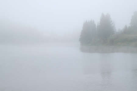 reflection of trees in the pond on a foggy autumn morningの写真素材