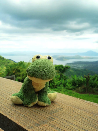 Stuffed toy posing in front of a lakeの素材