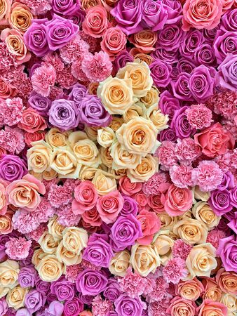 Lots of natural bright pink flowers .の写真素材