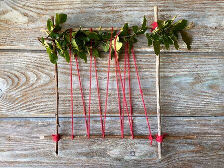 simple Floristics for small childrenの写真素材