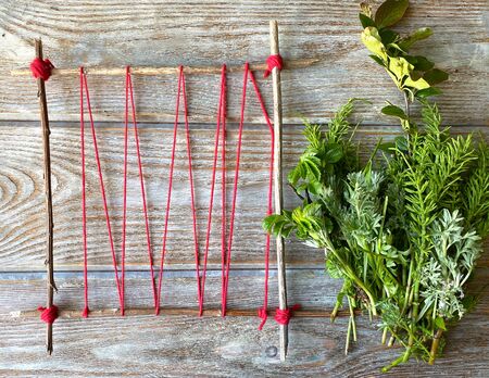 Grass weaving, creative, childrens craft step by step.の写真素材