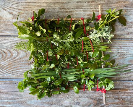 simple Floristics for small childrenの写真素材