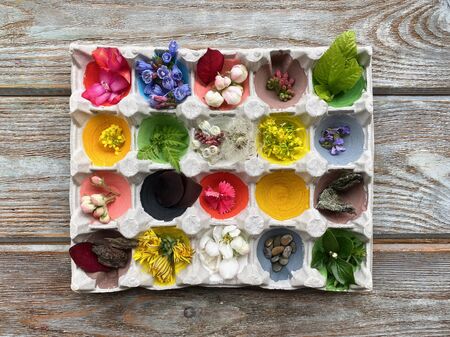 Egg recycling box, a colorized box for childrens play with natural material.の写真素材