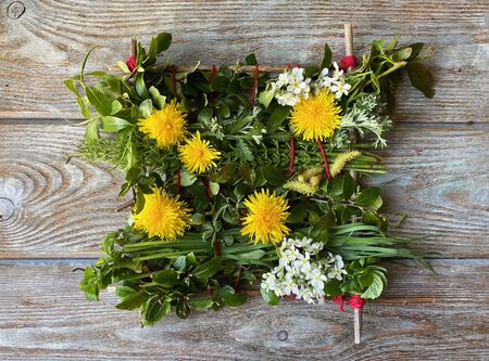Tapestry made of natural materials, branches with leaves and dandelions, childrens creativityの写真素材