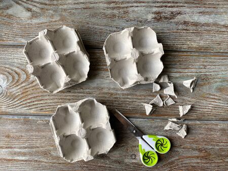 Cut egg box in the shape of a flower, for childrens craft.の写真素材