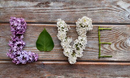 The word LOVE is constructed from flowers and leaves and branches of lilac, on a wooden background.の写真素材