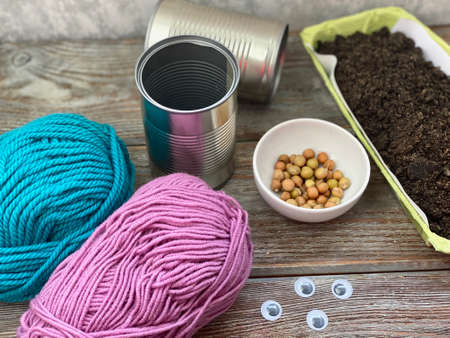 Set for planting childrens garden, land, seeds and yarn, childrens creativity.の写真素材