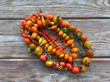 Autumn beads made of natural materials: Rowan berries and rose hips.の写真素材