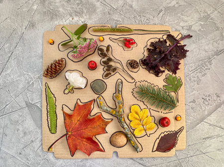 On a cardboard box drawn silhouettes of autumn materials , childrens puzzle game .