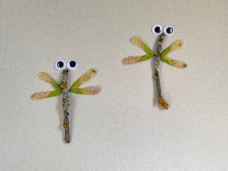 Cute dragonfly with eyes made of natural materials , childrens art.