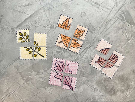 Childrens puzzle, autumn leaves drawn on cardboard, logical craftsの写真素材