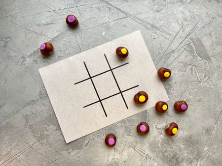 chestnut Board game, childrens, simple natural craft.の写真素材