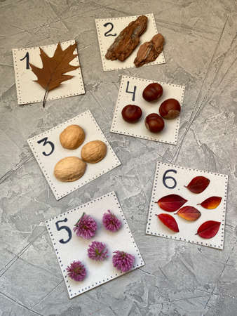 Crafting materials for children.の写真素材