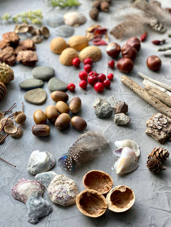 Crafting materials for children.の写真素材
