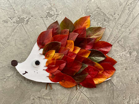 Childrens crafts, hedgehog made of autumn leaves,の写真素材