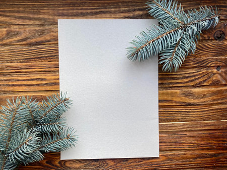 Spruce branches on a white sheet of paperの写真素材