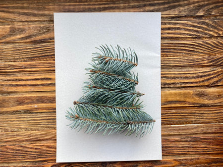 Kids craft, instructions on how to make a Christmas tree from natural materialの写真素材