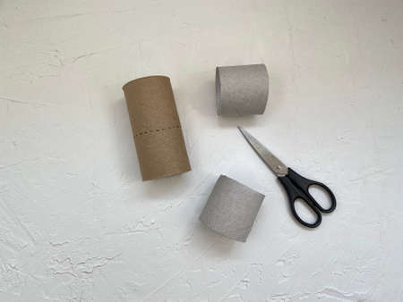 an empty roll of toilet paper for kids craft and scissors on a white background.の写真素材