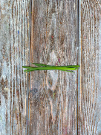 Mathematical figures made of natural material, grass and flowers.の写真素材