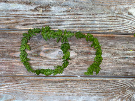 figure 9 of green leaves on a wooden background, math score for kids.の写真素材
