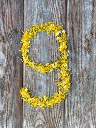 Figure nine made of natural material, kids DIY, craft, math trainingの写真素材