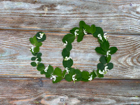 Figure six of green casting and white colors, for kids learning math, Kids craft.の写真素材