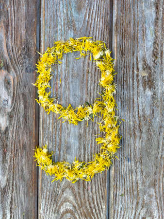 Figure nine made of natural material, kids DIY, craft, math trainingの写真素材