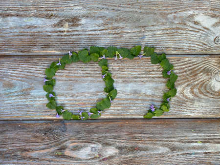 figure 9 of green leaves on a wooden background, math score for kids.の写真素材