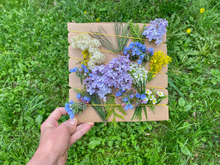 Three-dimensional painting application of flowers and plants, eco-friendly kids craft, active outdoor play.の写真素材
