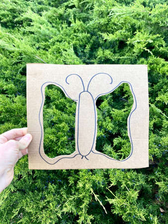 Butterfly cut out of cardboard, recycling, natural art frame for children, activiti idea. Kids craftの写真素材