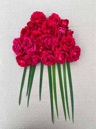 childrens craft medusa made of cardboard and flowers and plants.の写真素材