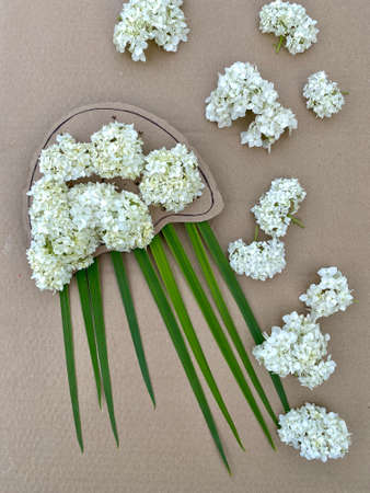 jellyfish made of cardboard processing and natural material of flowers and plantsの写真素材