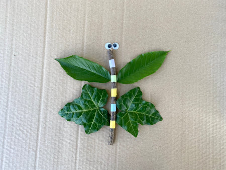 Butterfly made of natural material, kids craft.の写真素材