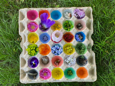 Egg recycling box, a colorized box for childrens play with natural material.の写真素材